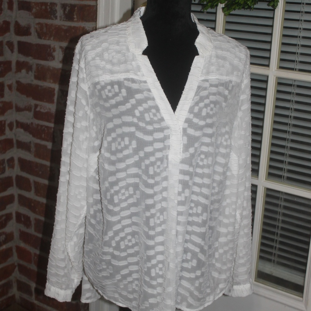 Kaari Blue White Sheer Roll Tab Blouse  pullover Vneck longer in back Sz…1X New